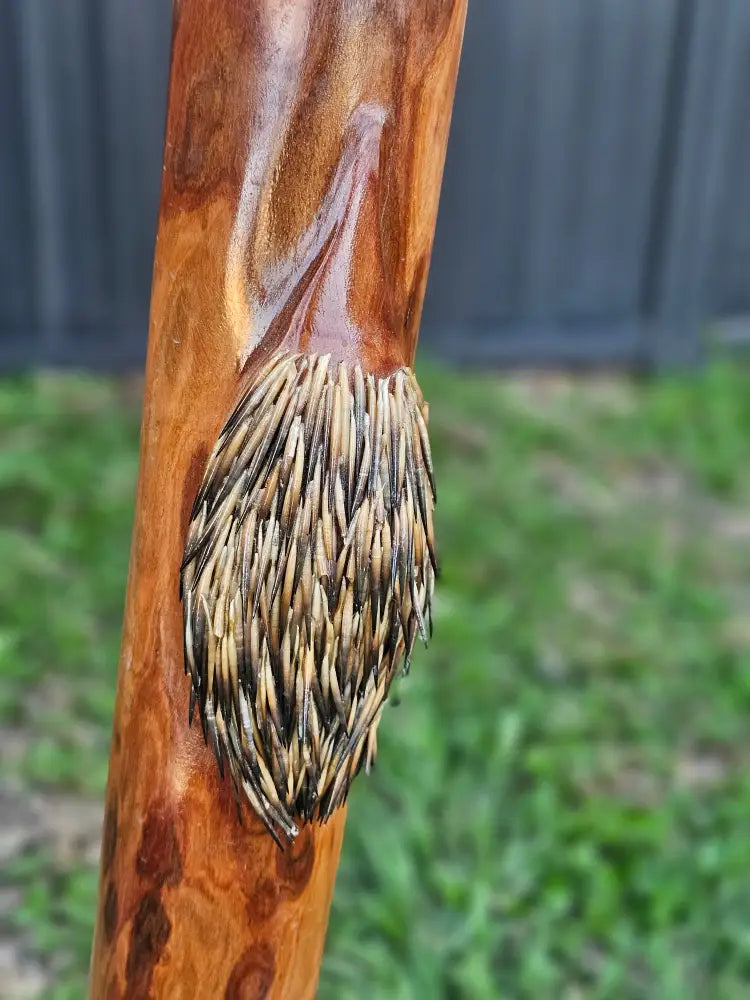 Custom carved Didgeridoo with real Bigibila (Echidna) Quills 143cm Didge Payment