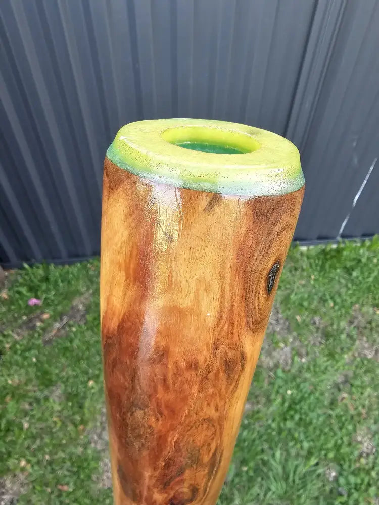 Custom carved Didgeridoo with real Bigibila (Echidna) Quills 143cm Didge Payment