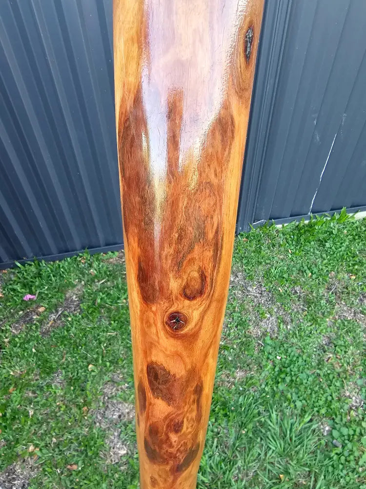 Custom carved Didgeridoo with real Bigibila (Echidna) Quills 143cm Didge Payment